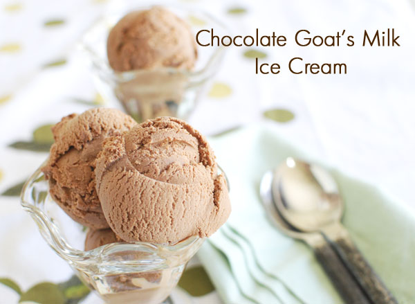 ChocolateGoatIceCream3sm Chocolate Goat's Milk Ice Cream