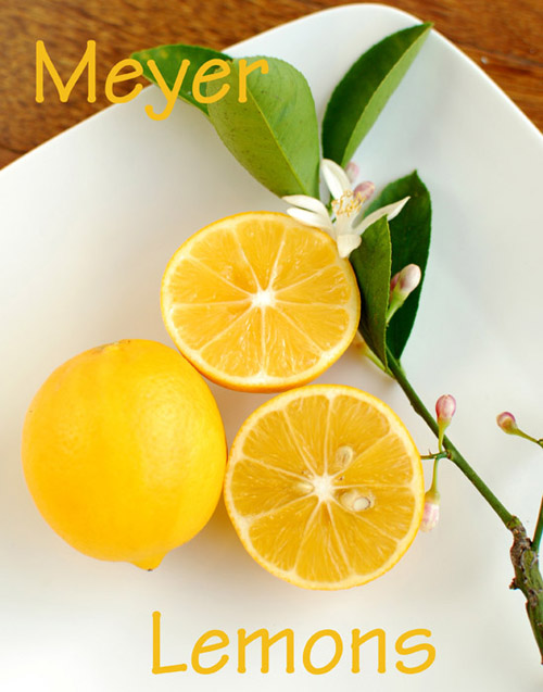 Post image for Getting Ready to Garden & Meyer Lemon Giveaway