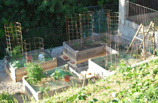 garden05082010