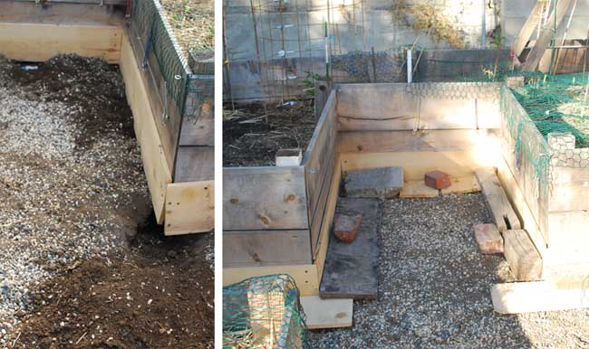 Post image for Garden Update-The War Rages On