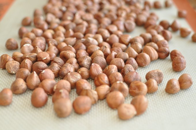 hazelnuts1