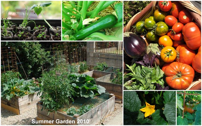 Post image for Final Update for Summer Garden 2010 & Giveaway Winner