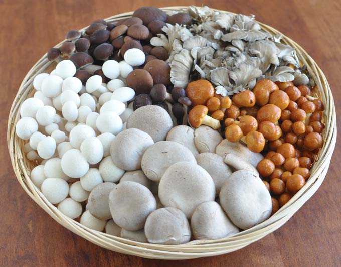 mushroombasketSM