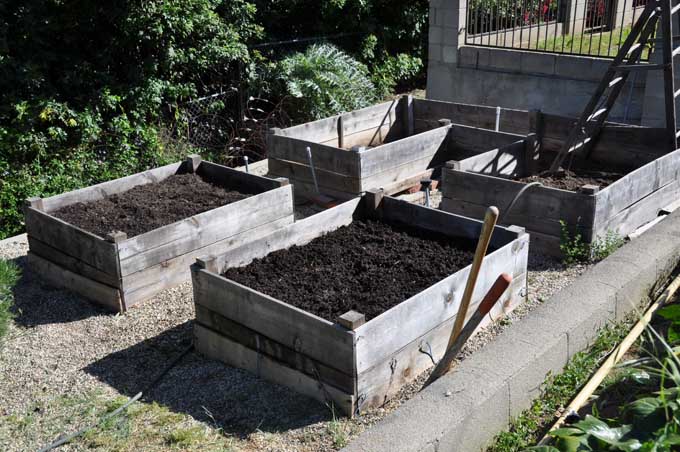 garden2011