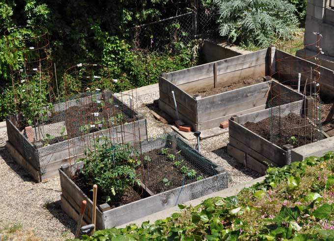 gardenmay2011