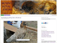 Thumbnail image for Introducing Mount Royal Farms