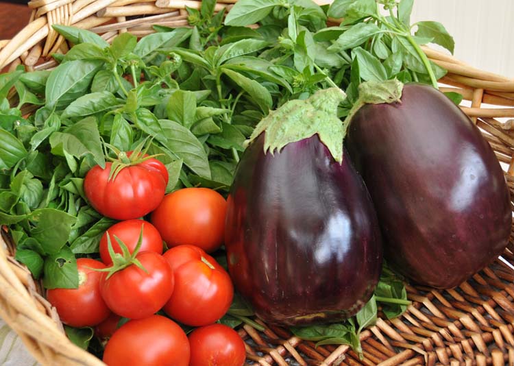 Post image for Nosy Neighbor Virtual Homestead & Garden Tour