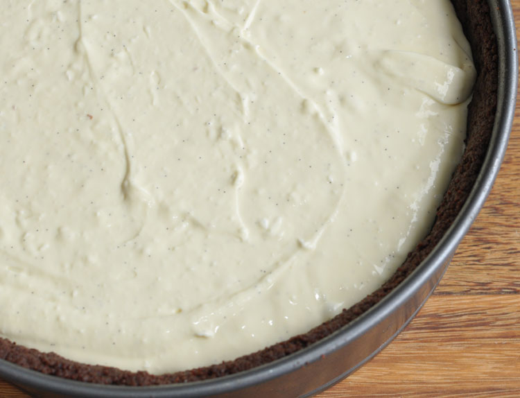 Lemony Vanilla Bean Cheesecake | Atkinson Drive