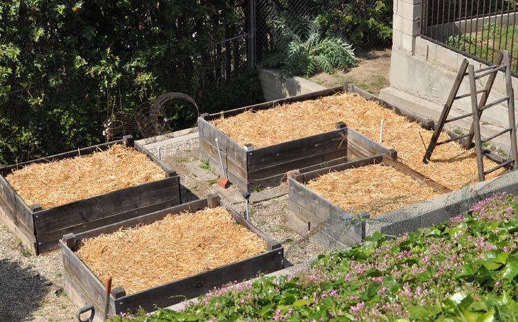 GardenPrePlants2012