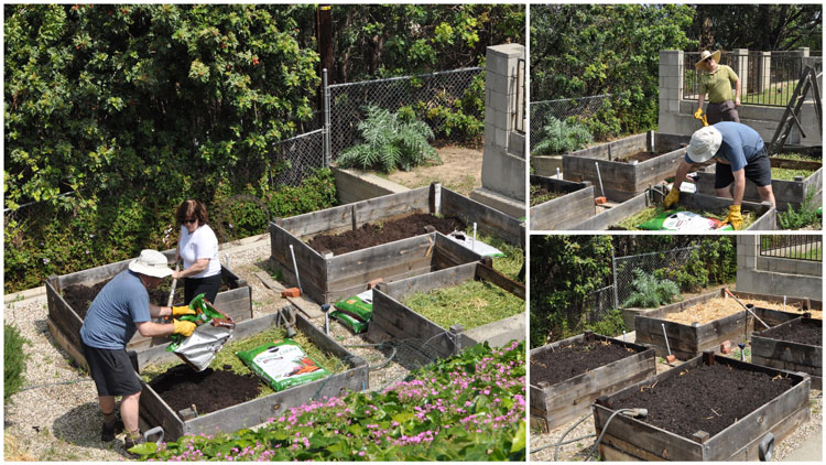 GardenPrep2012
