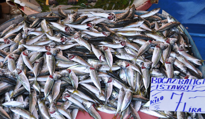 Post image for An Introduction to Buying and Eating Sustainable Fish and Seafood