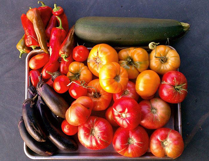 Post image for Garden 2012 update