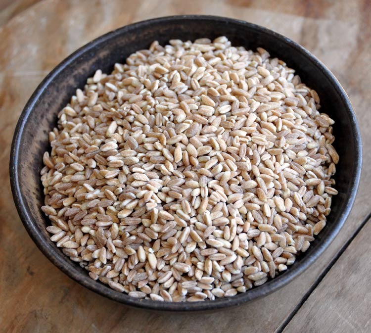 raw-farro Farro Risotto with Leeks and Butternut Squash