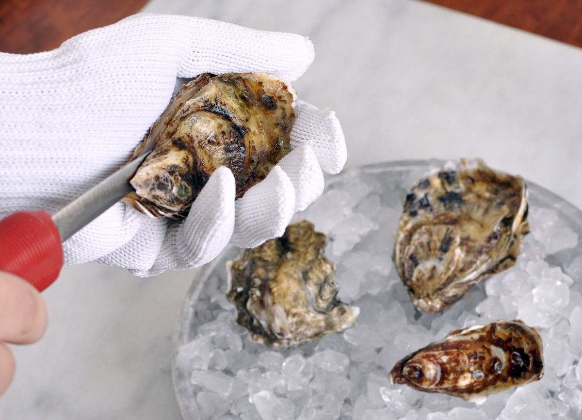 Oysters Part 2 How to Buy, Clean, and Open Raw Oysters — Former Chef