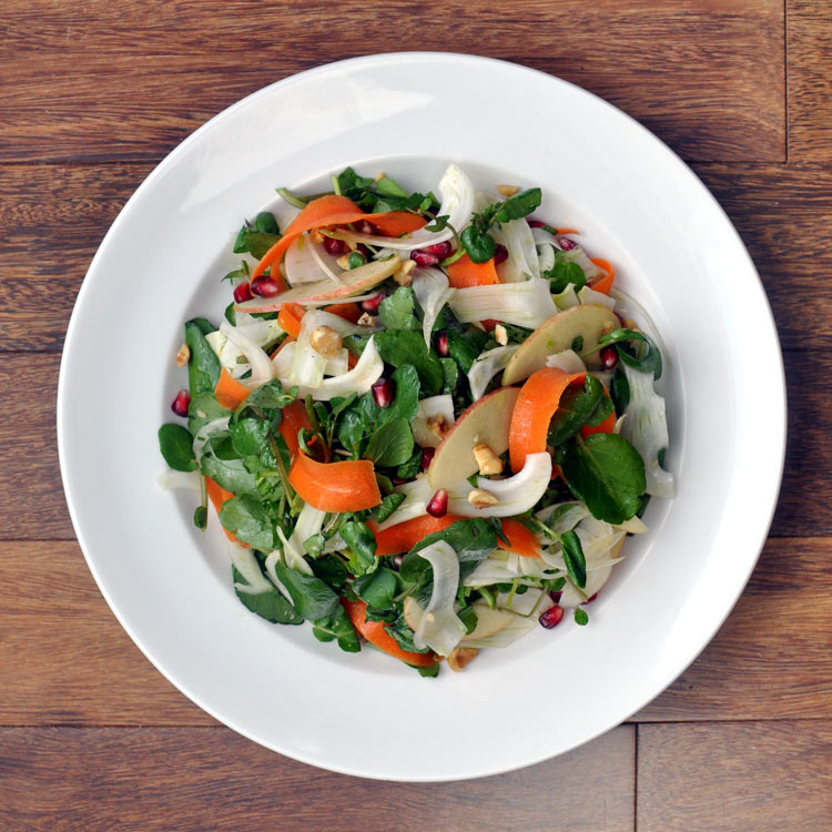 FennelsaladSQsm