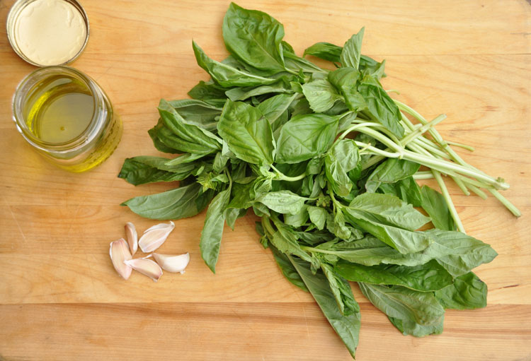 basiloilgarlic
