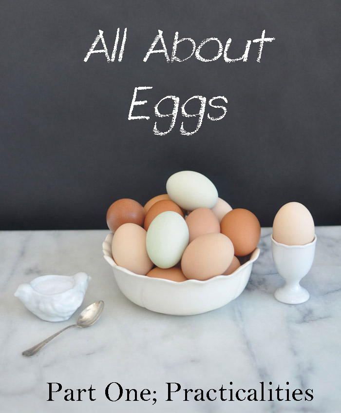Post image for All about Eggs~Part One; Practicalities