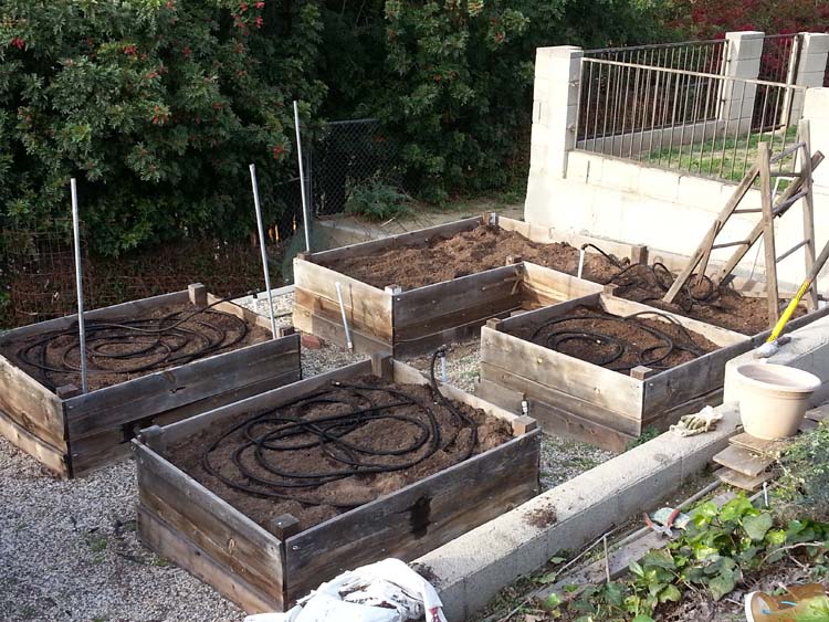Garden2014-01