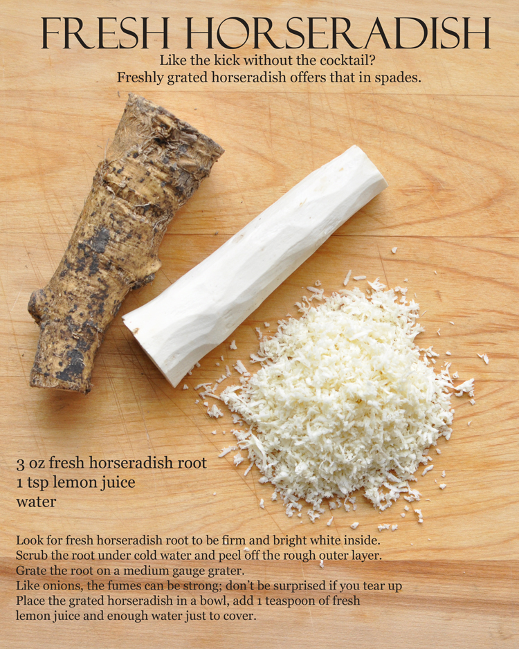 where to buy horseradish root